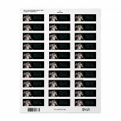 Niedlich Pit Bull (Vorne)