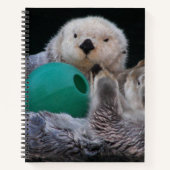 Niedlich Playful Sea Otters Notizblock (Vorderseite)