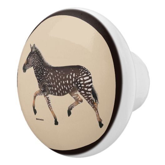 Niedlich Polka Dot Zebra Keramik Knob Keramikknauf (Rechts)