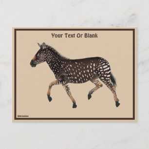 Niedlich Polka Dot Zebra Postkarte
