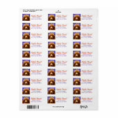 Niedlich Poodle (Vorne)