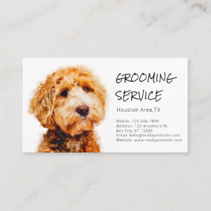 Niedlich Poodle Dog Grooming Shop (mit Servicekart Visitenkarte