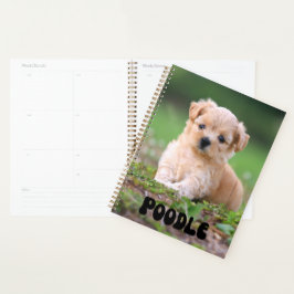 Niedlich Poodle Puppy Calendar Planer