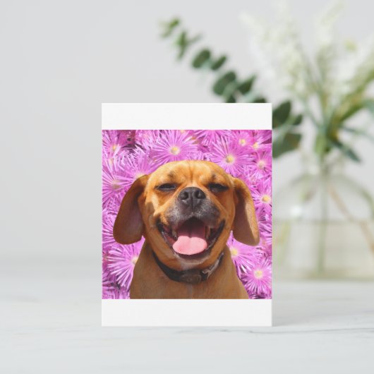 Niedlich Puggle Postkarte (Stehend Vorderseite)