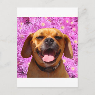 Niedlich Puggle Postkarte
