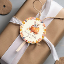 Niedlich Pumpkin Puppy Baby Dusche