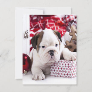 Niedlich Puppy English Bulldog Weihnachten Einladung