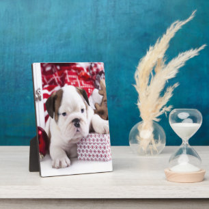 Niedlich Puppy English Bulldog Weihnachten Fotoplatte