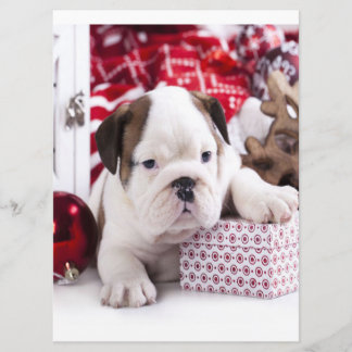 Niedlich Puppy English Bulldog | Weihnachten Menükarte