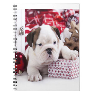 Niedlich Puppy English Bulldog   Weihnachten Notizblock