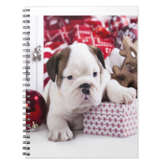 Niedlich Puppy English Bulldog | Weihnachten Notizblock