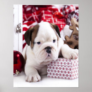 Niedlich Puppy English Bulldog Weihnachten Poster