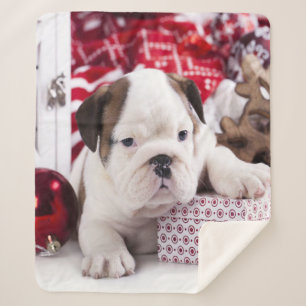 Niedlich Puppy English Bulldog Weihnachten Sherpadecke