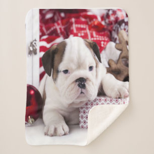Niedlich Puppy English Bulldog   Weihnachten Sherpadecke