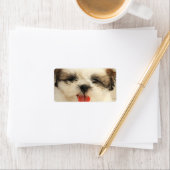 Niedlich Puppy Shih Tzu Adressaufkleber (Insitu)