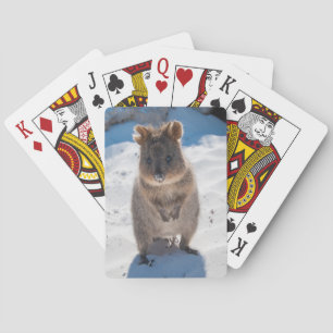 Niedlich Quokka Animal Beach Wildlife Australien Spielkarten