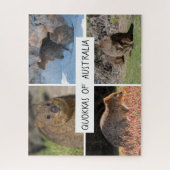 Niedlich Quokka Animal Wildlife Australia, 520 Stü Puzzle (Vertikal)