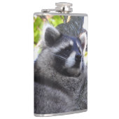 Niedlich Raccoon Nah UP Flachmann (Rechts)