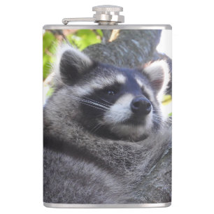 Niedlich Raccoon Nah UP Flachmann
