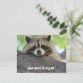 Niedlich Raccoon Say Hi Postcard Postkarte (Stehend Vorderseite)
