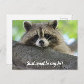 Niedlich Raccoon Say Hi Postcard Postkarte (Vorne/Hinten)