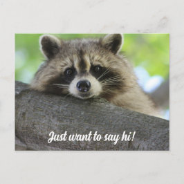 Niedlich Raccoon Say Hi Postcard Postkarte