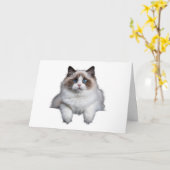 Niedlich Ragdoll Cat Karte (Gelbe Blume)