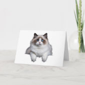 Niedlich Ragdoll Cat Karte (Vorderseite)