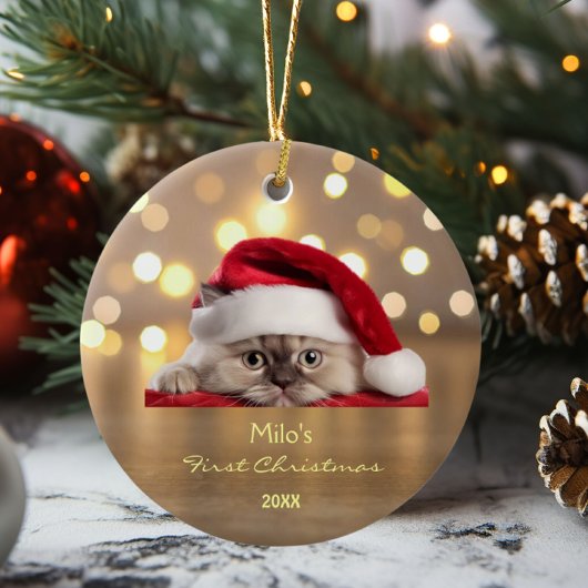 Niedlich Ragdoll Cat Weihnachtsmannmütze Paw Gold Keramik Ornament
