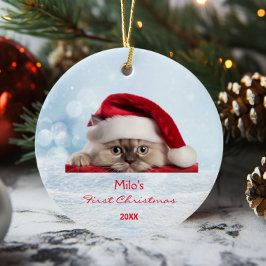 Niedlich Ragdoll Cat Weihnachtsmannmütze Paw Snow  Keramik Ornament