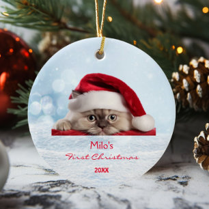 Niedlich Ragdoll Cat Weihnachtsmannmütze Paw Snow  Keramik Ornament