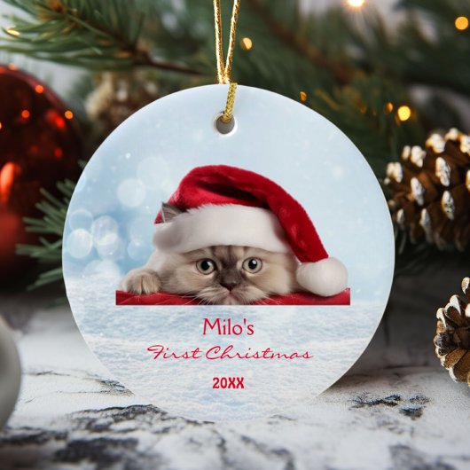 Niedlich Ragdoll Cat Weihnachtsmannmütze Paw Snow Keramik Ornament