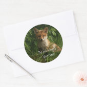 Niedlich Red Fox, Dieses Buch gehört Buchzeichen Runder Aufkleber (Umschlag)