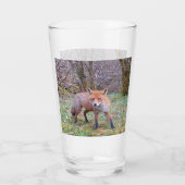 Niedlich Red Fox Glas (Rückseite)