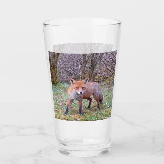 Niedlich Red Fox Glas (Vorderseite)