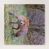 Niedlich Red Fox Puzzle (Horizontal)