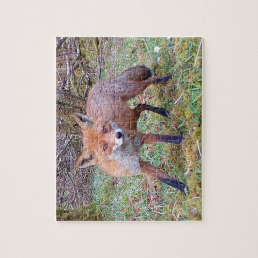 Niedlich Red Fox Puzzle (Vertikal)