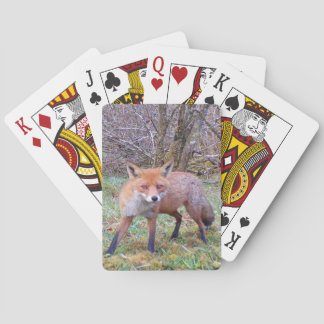 Niedlich Red Fox Spielkarten