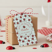 Niedlich Red Ladybug & Turquoise Gingham Pattern K Geschenkanhänger