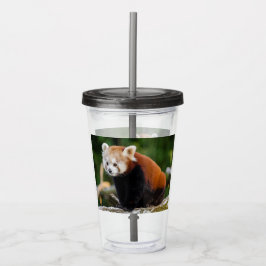 Niedlich Red Panda Acryltrinkbecher