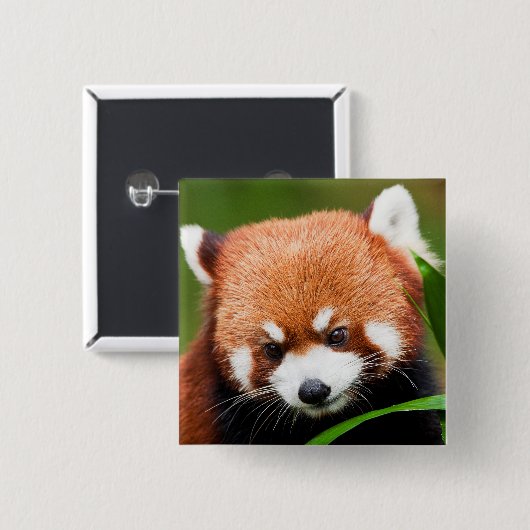 Niedlich Red Panda Button (Vorne & Hinten)