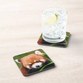 Niedlich Red Panda Getränkeuntersetzer (Rechte Seite)