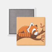 Niedlich Red Panda Illustration Magnet (Vorderseite/Rückseite)