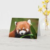 Niedlich Red Panda Karte (Gelbe Blume)