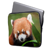 Niedlich Red Panda Laptopschutzhülle (Vorderseite Links)