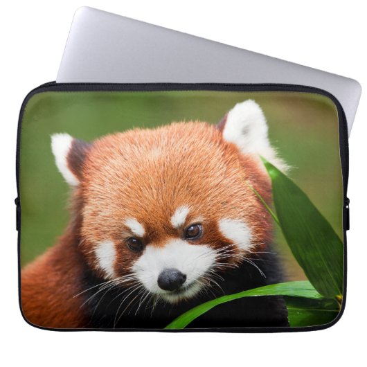 Niedlich Red Panda Laptopschutzhülle (Vorderseite)