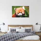 Niedlich Red Panda Leinwanddruck (Insitu (Schlafzimmer))