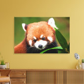 Niedlich Red Panda Leinwanddruck (Insitu (Wohnzimmer))