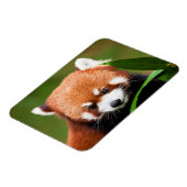 Niedlich Red Panda Magnet (Linke Seite)