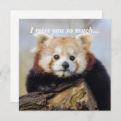 Niedlich Red Panda Miss Sie so viel (Vorne/Hinten)